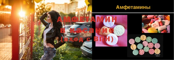 индика Абинск