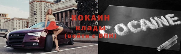 индика Абинск