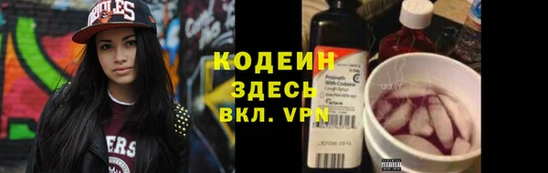 индика Абинск