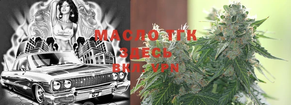 индика Абинск