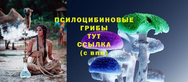 индика Абинск