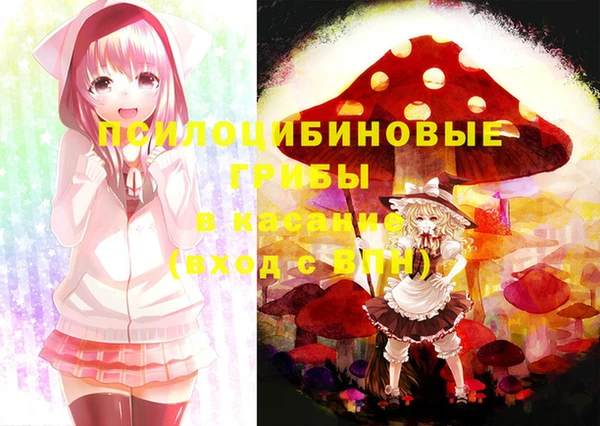 индика Абинск